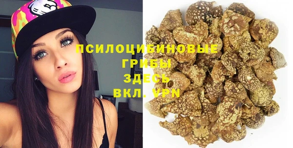 молекула духа Алзамай