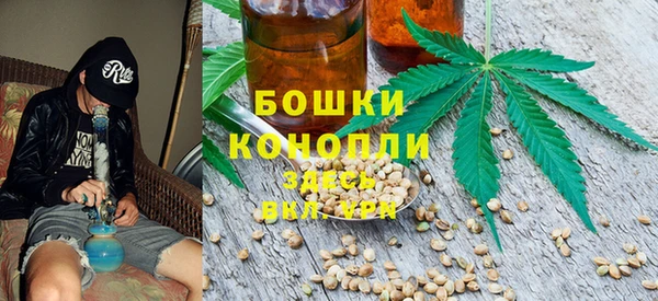 молекула духа Алзамай