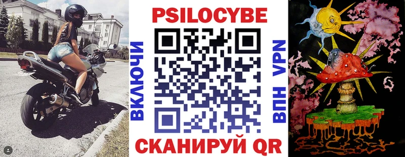 Псилоцибиновые грибы прущие грибы магазин продажи наркотиков Кизляр